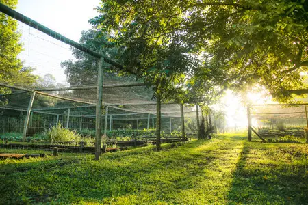 Food and Food Preparation