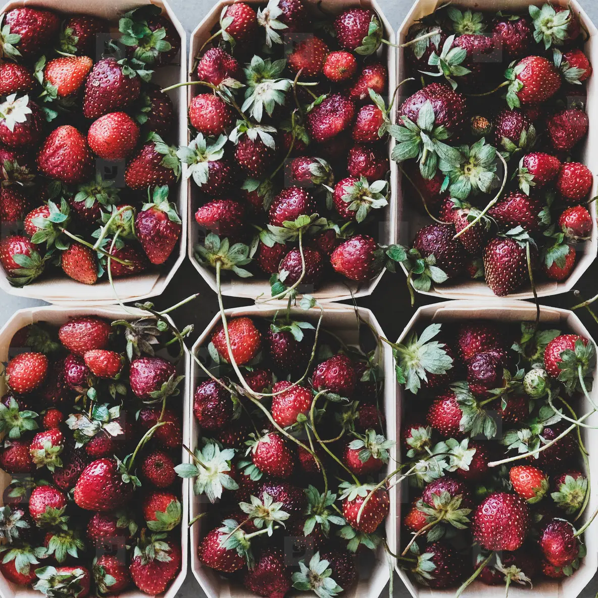 Fresh strawberries in boxes texture  background and wallpaper  square crop