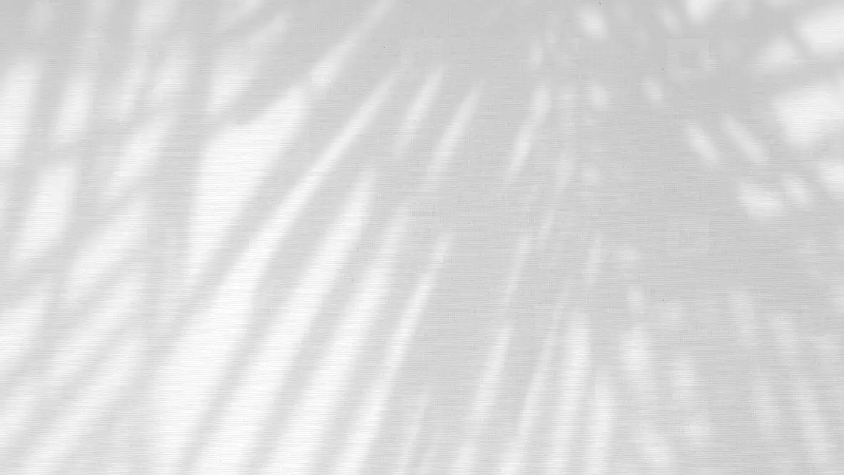 Leaves natural shadow overlay on white texture background  for o