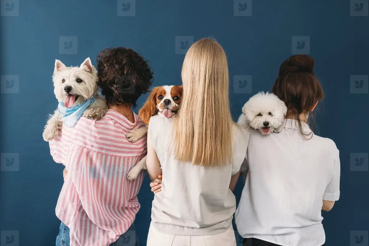 Back view of a three woman holding their dogs on shoulders while standing in studio