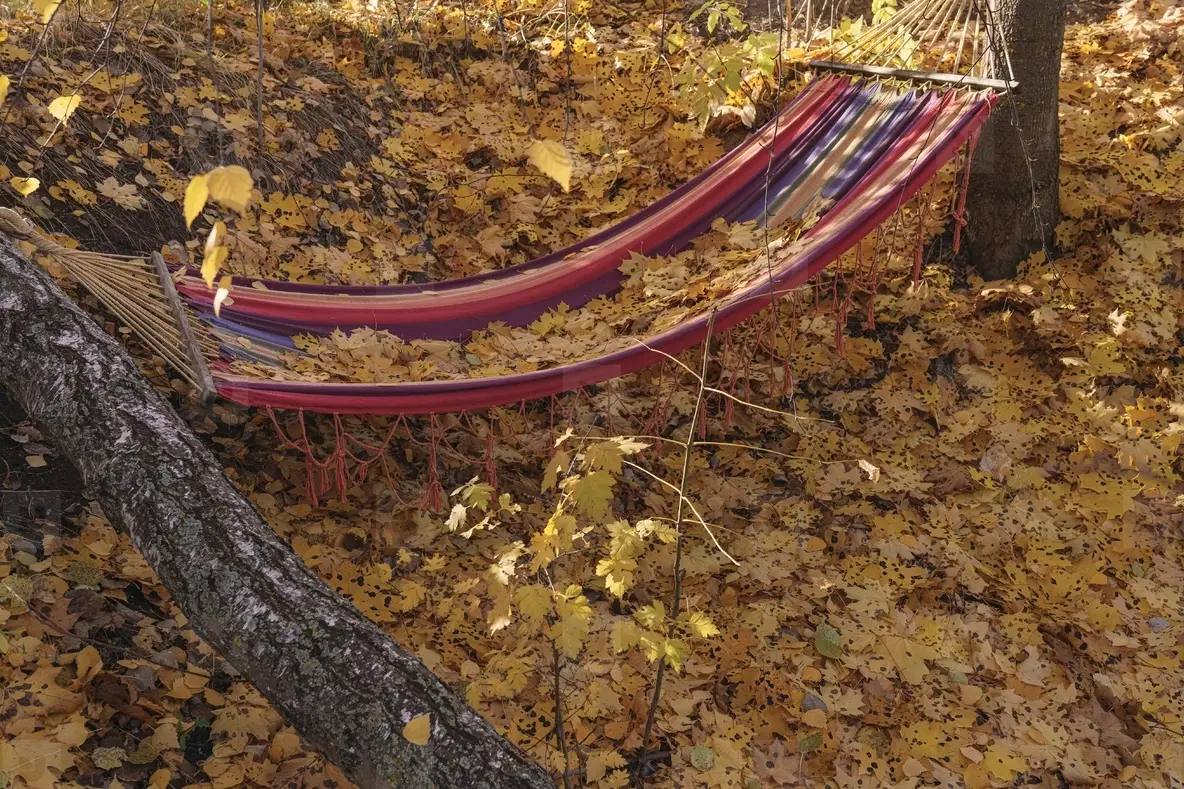 Autumn leaves covering hammock in backyard