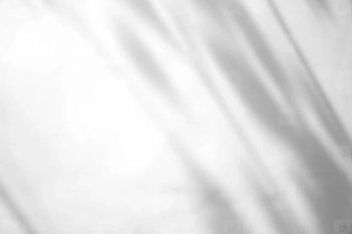 Leaves natural shadow overlay on white texture background  for o