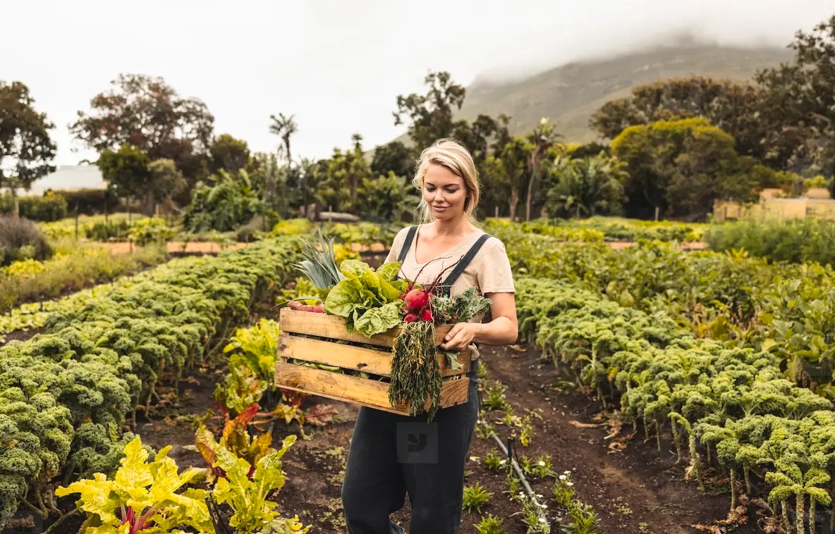 Cheerful Organic Farmer Holding A Box With Fresh Vegetables Photo ...