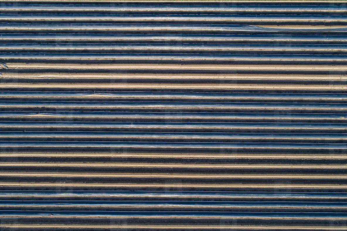 Polyethylene tunnels over crops forming line pattern Hesse  Germany