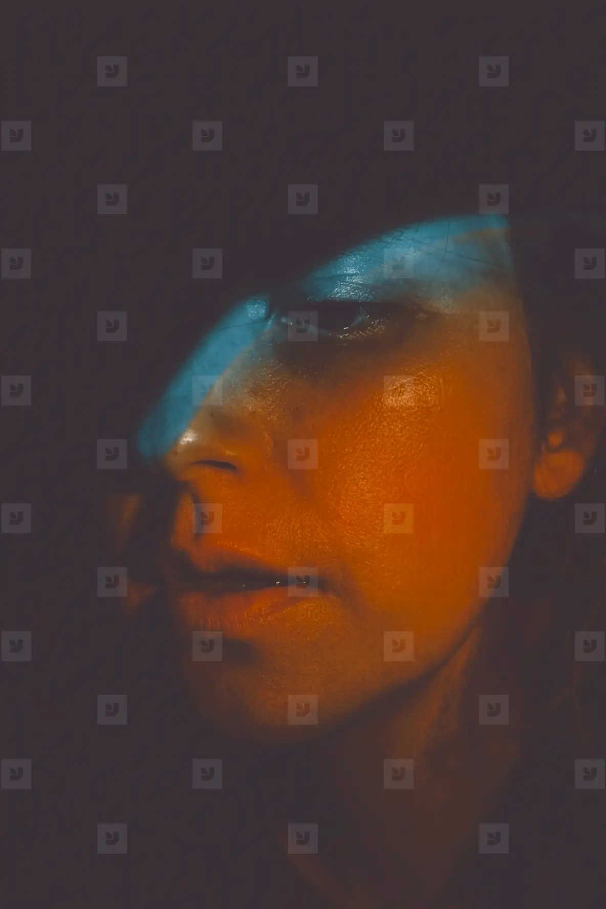 Artistic Portrait Of A Young Woman Illuminated By Colored Lights Photo ...
