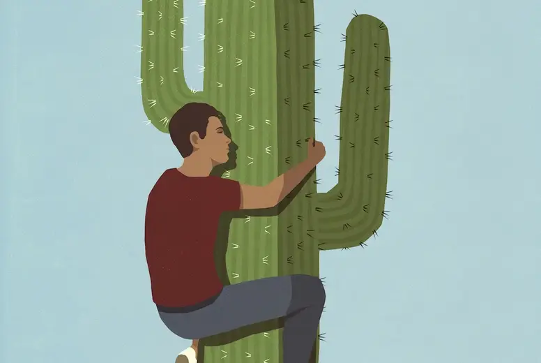 efeutute epipremnum pinnatum Epipremnum pinnatum 