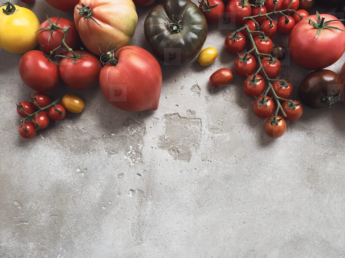 Still Life Variety Of Tomatoes On Gray Background Photo (269173 ...