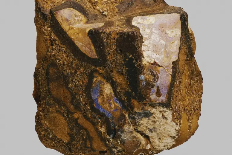 Close up detailed multicolored boulder opal on gray background