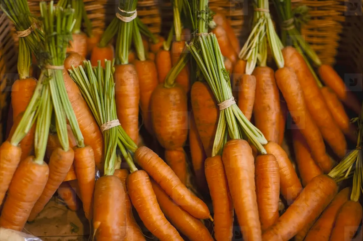 Close up of a basket filled with trimmed bunches of carrots