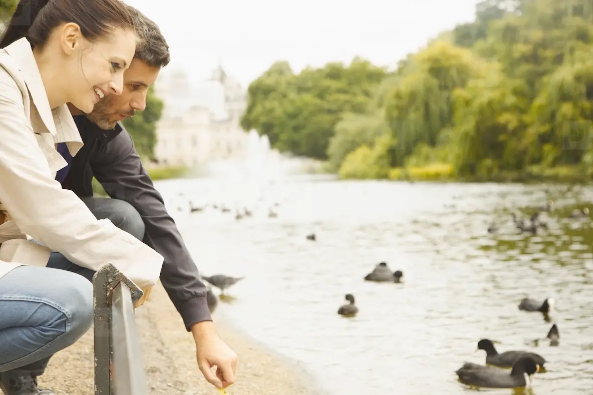 Couple Crouching by Lake St  James s Park
