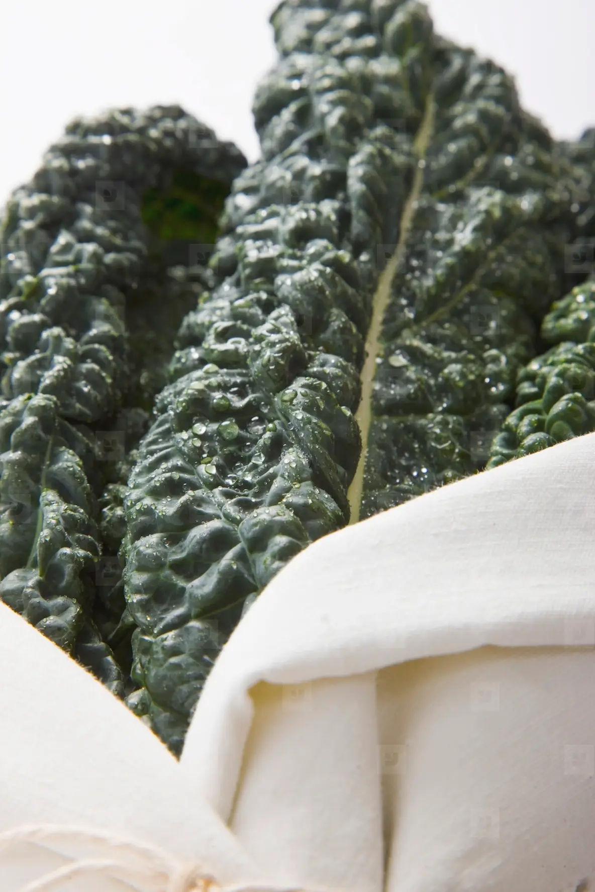 Cavolo Nero Leaves Wrapped in a Cloth