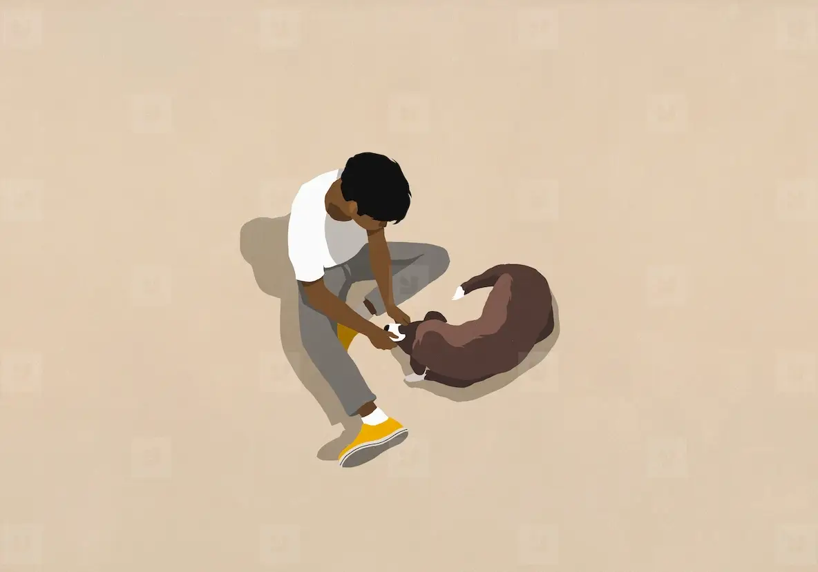 High angle view man petting brown dog laying on beige background