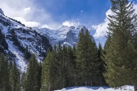 Switzerland 2025 124