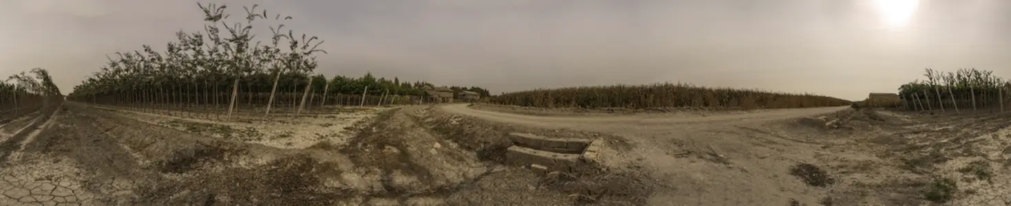 A Beautiful Scenic Vineyard Landscape Featuring a Dusty Path and an Overcast Sky Above