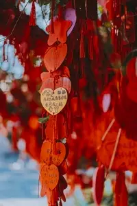 Exploring Shanghai 21