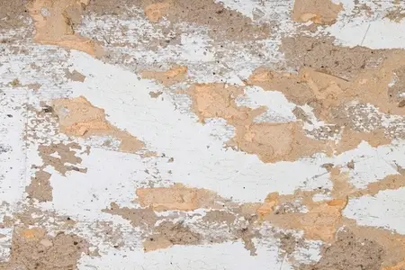 Old weathered wall surface with peeling white paint and exposed rough plaster texture  Rustic grunge background with cracked paint  chipped plaster  and distressed vintage look  Perfect for use in des