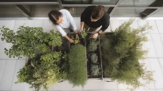 Rooftop garden people plants green urban outdoor herbs relaxing city modern nature top view