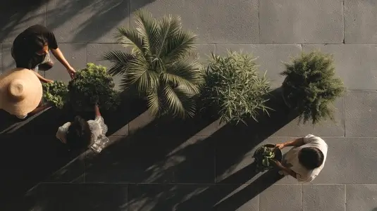 Rooftop garden birdseye people plant green outdoor summer urban relaxing sunlight Rooftop garden