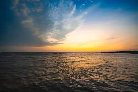 Picture of the atmosphere of the sea in the evening  the light a