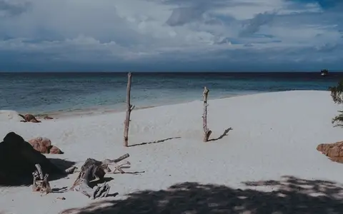 Beach Scene