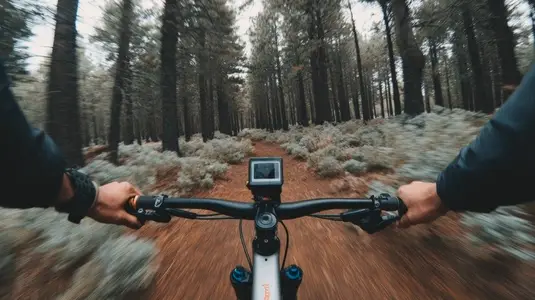 Cyclist forest trail action adventure outdoor autumn handlebar speed excitement