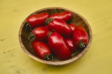Still life of vibrant fresh red San Marzano tomatoes in wooden bowl