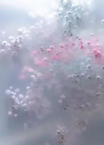 Soft pastel flowers in dreamy blur with gentle light  romantic mood  airy texture and delicate floral background