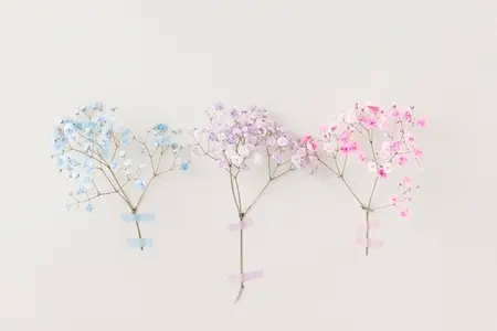 Delicate pastel flowers from floral series in blue  pink  and lilac taped to a light wall  minimal floral composition