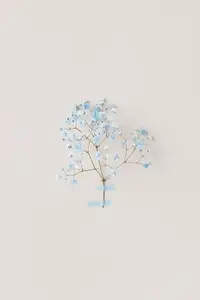 Minimal photo from floral series with live blue flowers on white wall  soft natural light and airy composition