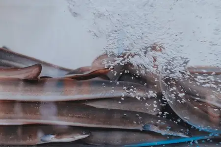 Seoul Korea 24 Fish Tank Seoul Korea 24 Fish Tank