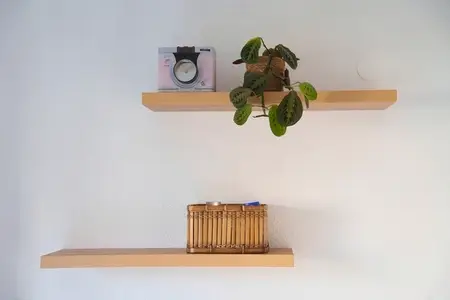 Stylish shelving showcasing classic cameras and vibrant botanical decorations  Elegant arrangement with vintage photographic gear complemented by lush green plant