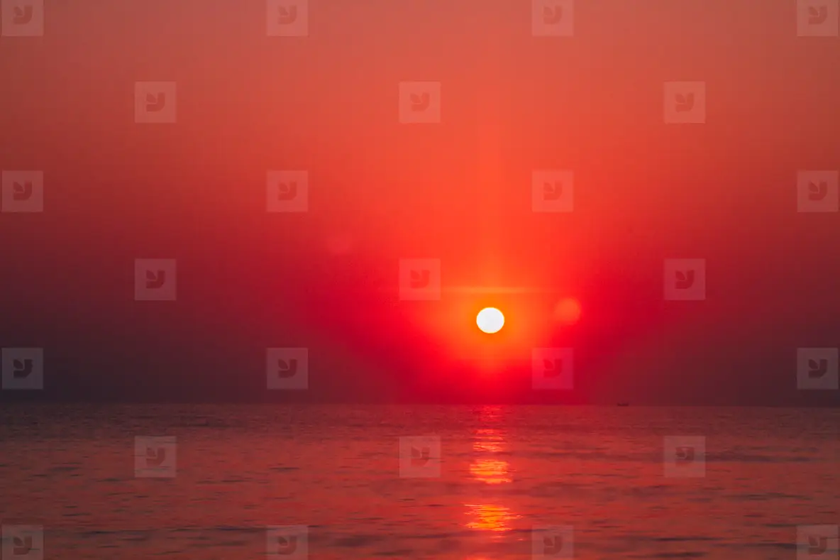 Red Raze Sun Red Sun Photo (46097) - YouWorkForThem