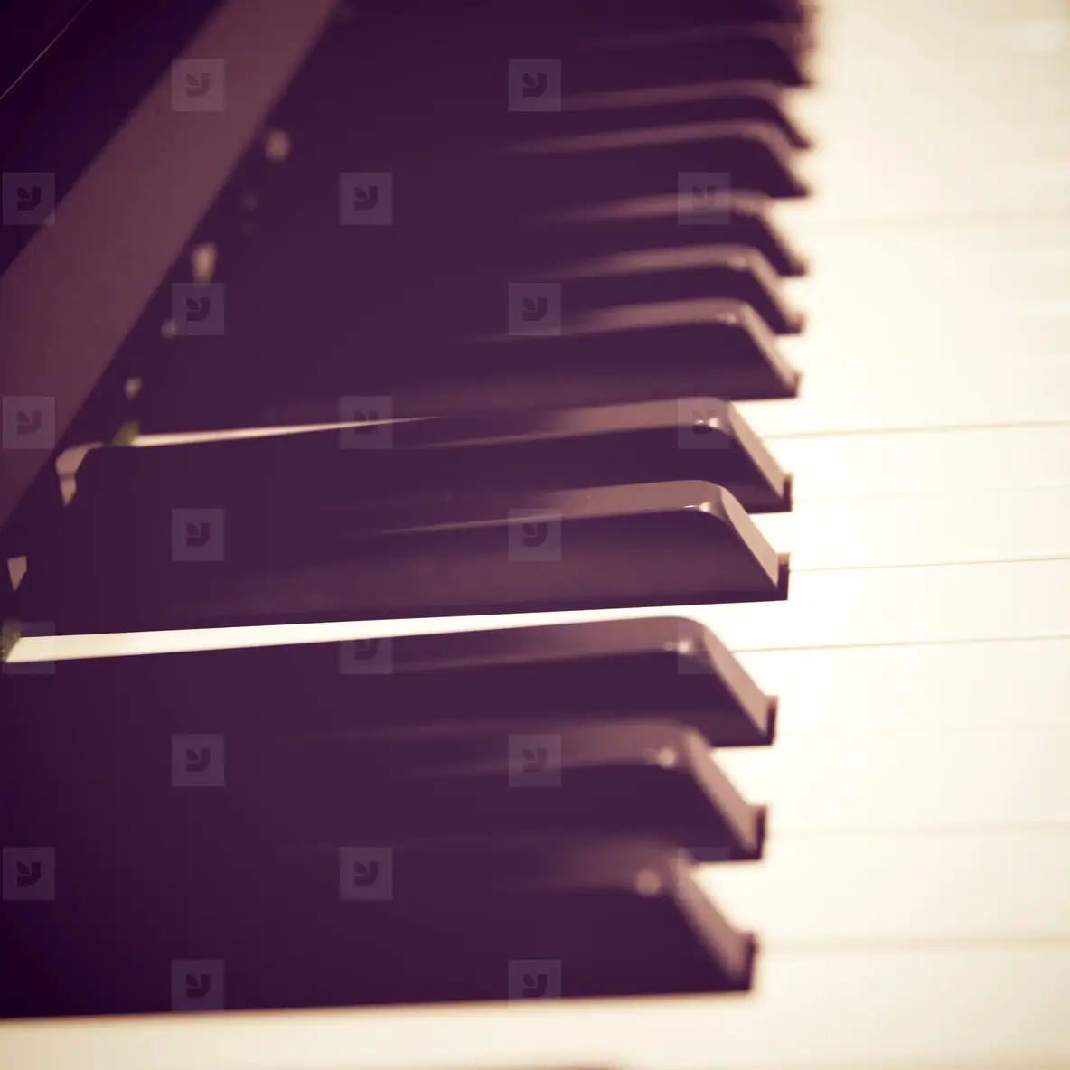Close up of piano keys