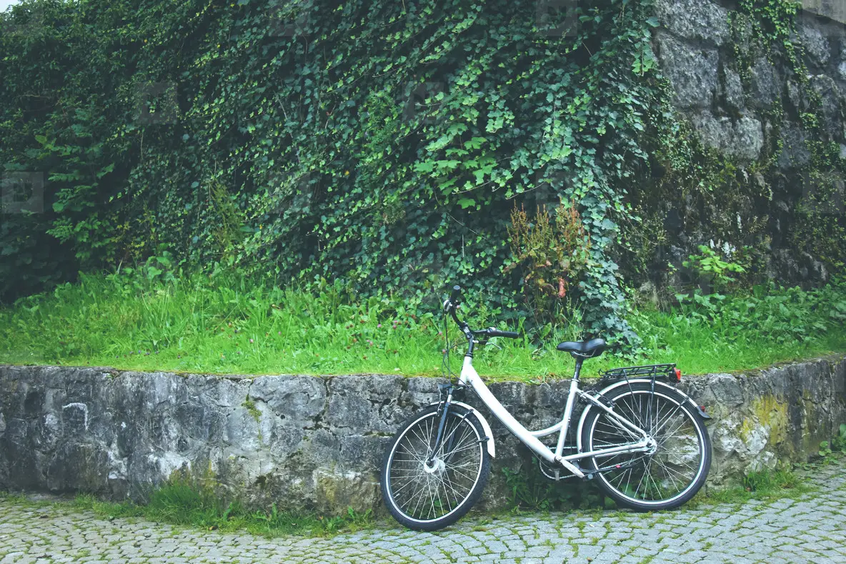 Bicycle in the park