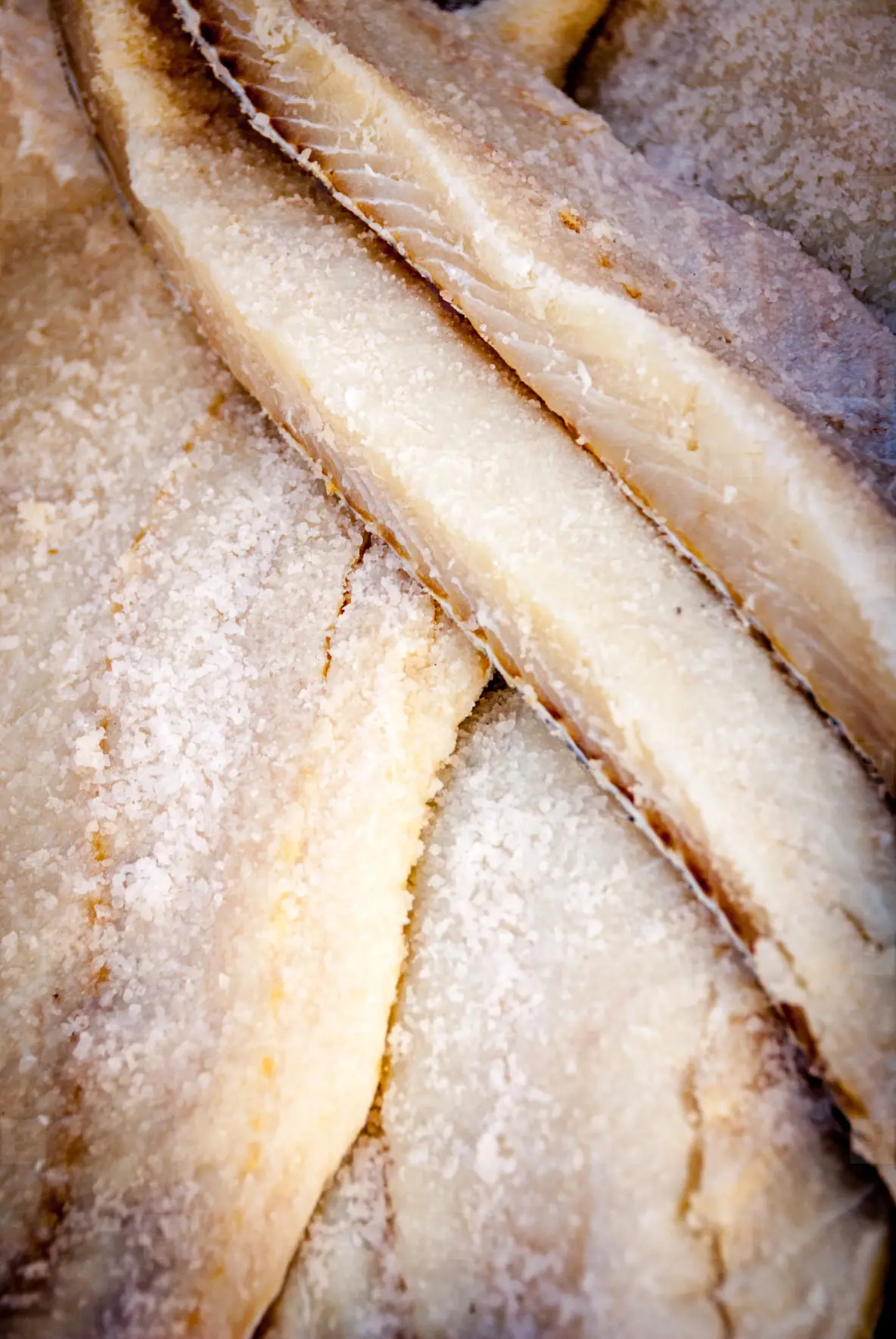 Salt Fish / Codfish Photo (56568) - YouWorkForThem