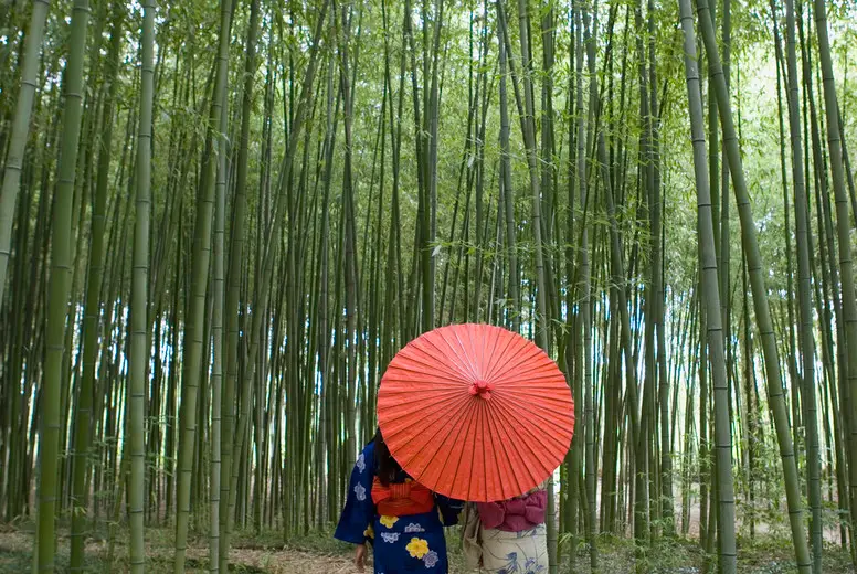 Japanese Kimonos #31
