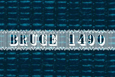 Bruce 1490