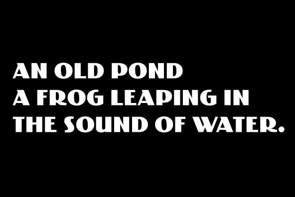 PAG Collection Font - YouWorkForThem