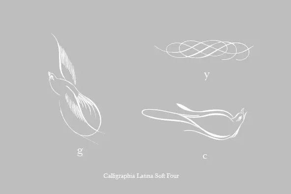 Calligraphia Latina Soft Four