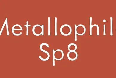 Metallophile Sp8