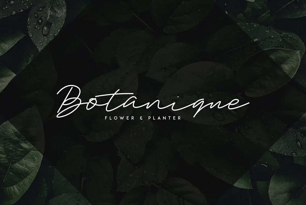 Trixie Script Font - YouWorkForThem