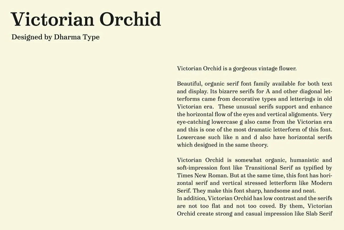 Victorian Orchid