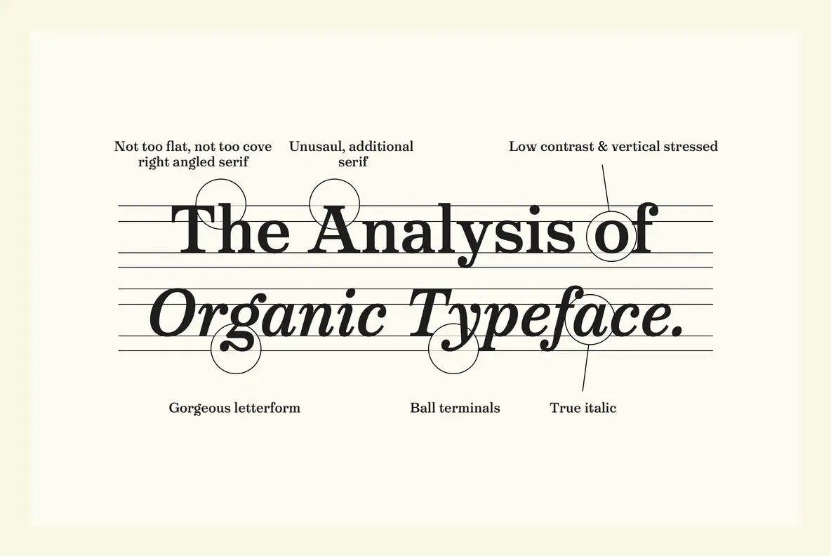 Victorian Orchid Font YouWorkForThem