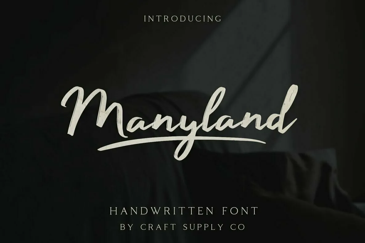 Manyland