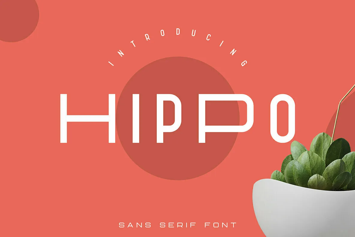 Hippo Sans Serif