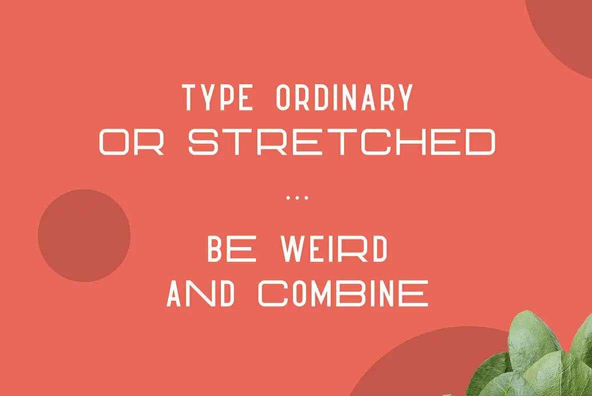 Picture of Hippo Sans Serif Font - YouWorkForThem