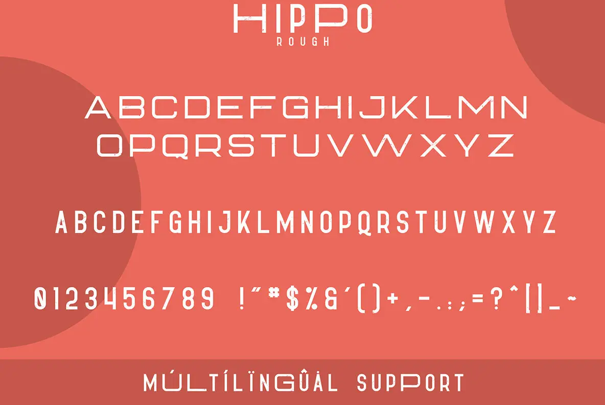 Image showcasing Hippo Sans Serif Font - YouWorkForThem