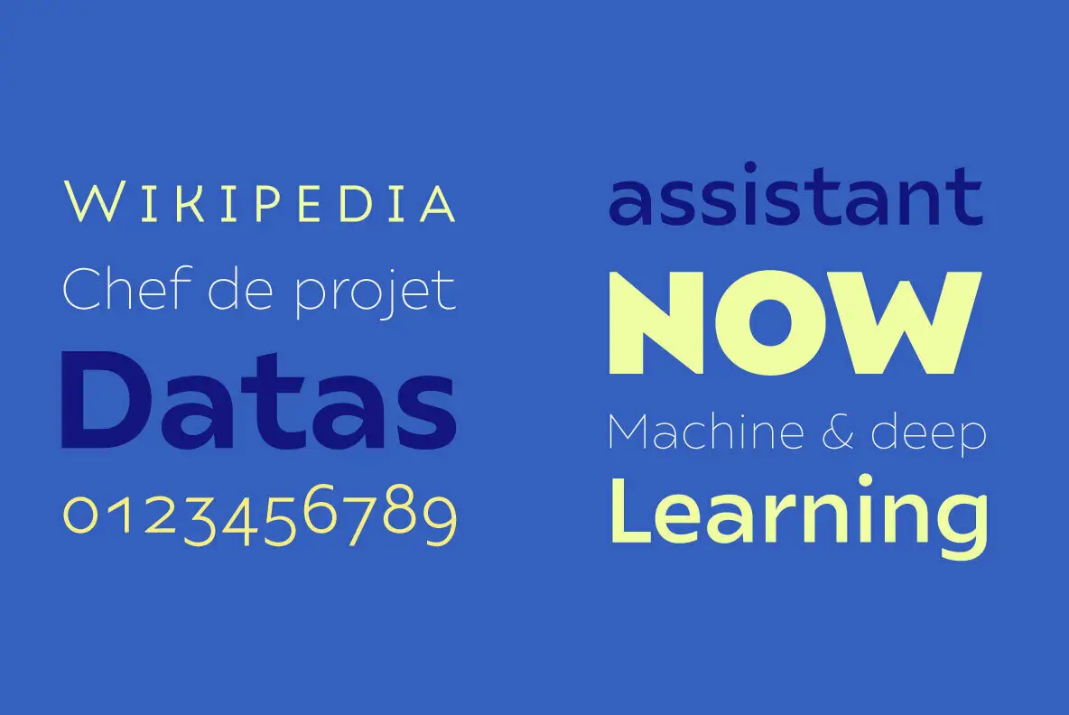 Ariana Pro Font YouWorkForThem