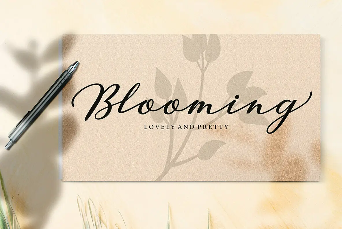 Klibers Script Font Youworkforthem