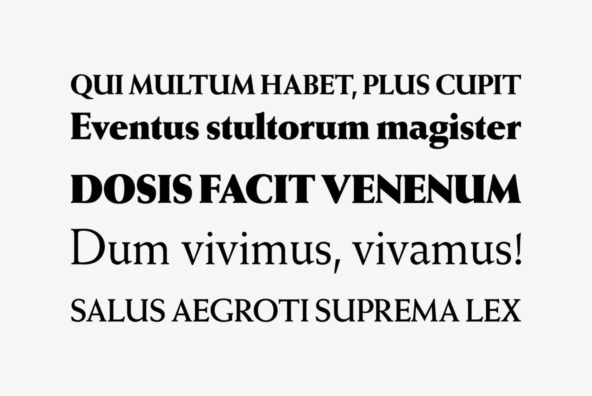 Weiss Antiqua Font - YouWorkForThem